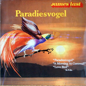 免费观看黄色小说
