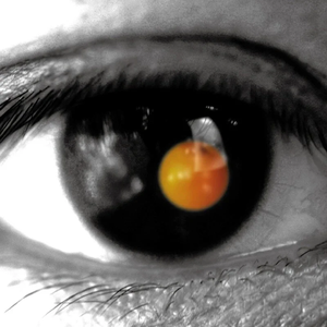 免费观看黄色小说
