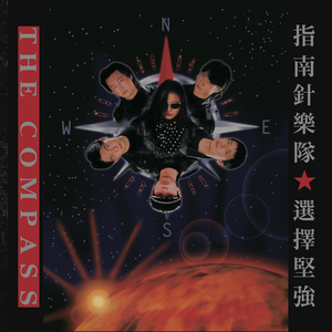 免费观看黄色小说
