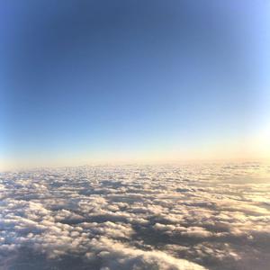 免费观看黄色小说
